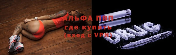 твердый Вяземский