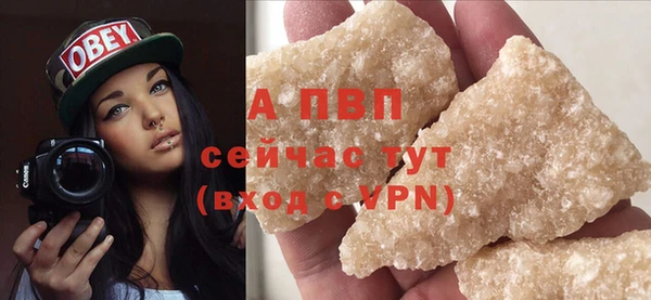 твердый Вяземский